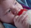 Bebe - Ne dohranjujte male bebe