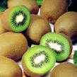 Zdrava hrana - Kivi je novo super voće 